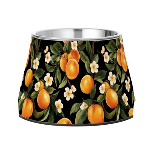 Sweet Aprikosen-Fruchtschalen für Hunde, rutschfest, Edelstahl, für Katzen, Kaninchen, Vögel, Schnurrhaar, Schwarz Sweet Aprikosen-Fruchtschalen für Hunde, rutschfest, Edelstahl, für Katzen, Kaninchen, Vögel, Schnurrhaar, Schwarz von Wudan