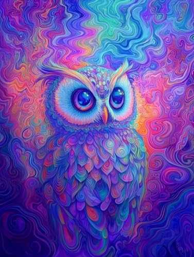 Diamond Painting Eulen, 5D Diamond Painting XXL 50x70 cm Leinwand, DIY Diamant Art Malerei Bilder Kinder Anfänger Mosaikherstellung Bastelnset für Home Wanddeko Wohnzimmer, Geschenke für Frauen P-4 von Wuiddnng