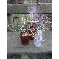 Alte Apothekerflasche Mit Zweig, Naturdeko, Frühlingsdeko, Vintage Alte Apothekerflasche Mit Zweig, Naturdeko, Frühlingsdeko, Vintage von WunderNatur