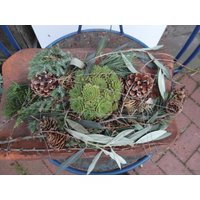 Dachpfannendeko, Naturdeko Auf Alter Dachziegel, Naturdeko, Shabby Gartendeko, Grabschmuck, Mit Hauswurz Dachpfannendeko, Naturdeko Auf Alter Dachziegel, Naturdeko, Shabby Gartendeko, Grabschmuck, Mit Hauswurz von WunderNatur