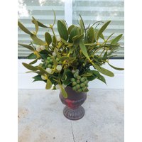 Floraler Tischschmuck, Kleiner Pokal Adventlicher Deko, Florales Präsent, Tischdeko, Mistelstrauß, Misteldeko, Mit Mistel Floraler Tischschmuck, Kleiner Pokal Adventlicher Deko, Florales Präsent, Tischdeko, Mistelstrauß, Misteldeko, Mit Mistel von WunderNatur