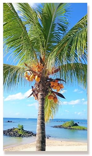 WunschPIXEL – Wandbild Palme auf Aluminium, 70x40 cm, Kokospalme, Meer, Strand, Hochformat, Wanddeko Wohnzimmer oder Küche, inkl. Aufhängung von WunschPIXEL