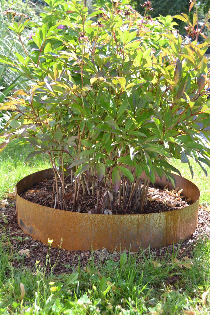 Beeteinfassung in Metall 4m Beeteinfassung in Metall 4m von Wupperkotten