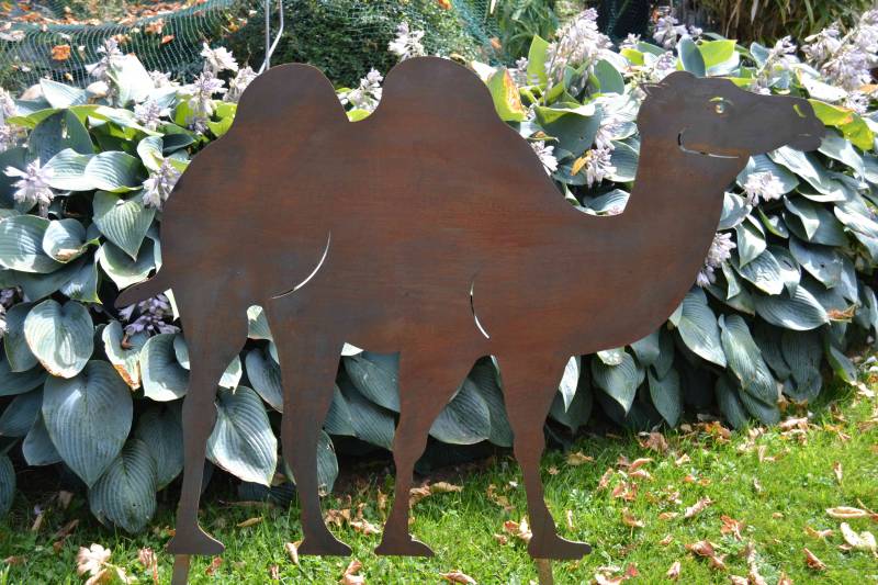 Kamel "Fernando" zum stecken Kamel "Fernando" zum stecken von Wupperkotten