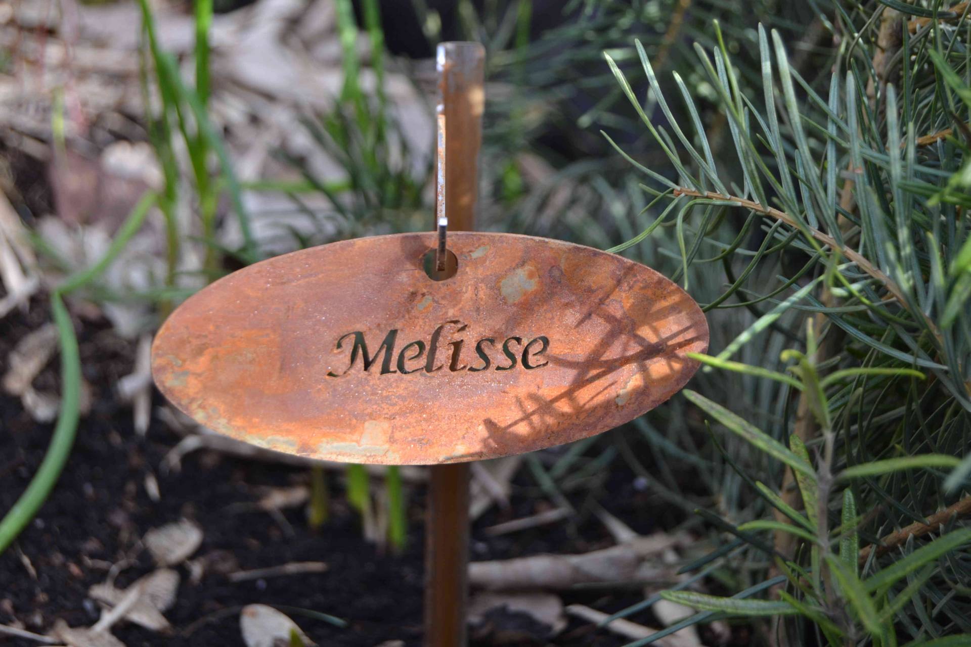 Kräuterset 8 Stück in rostig Kräuterset 8 Stück in rostig von Wupperkotten