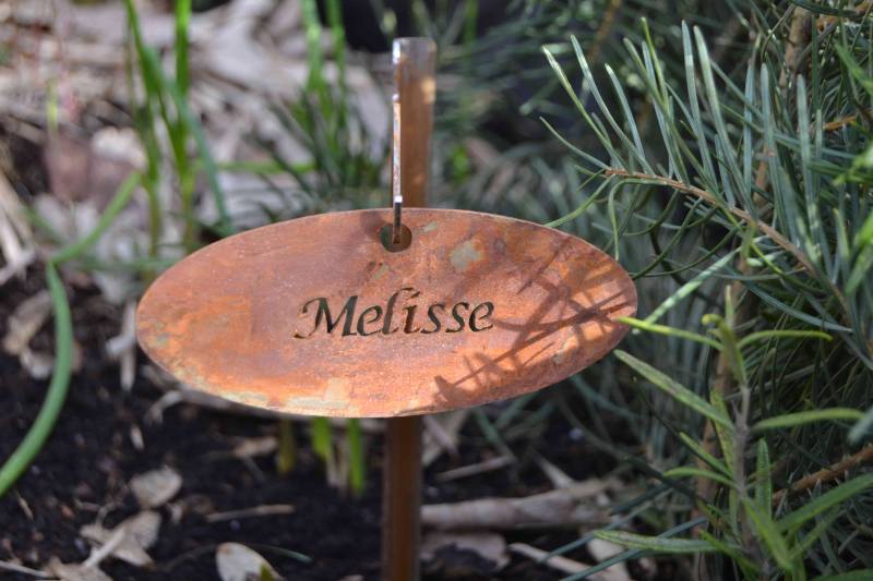 Kräuterset 8 Stück in rostig Kräuterset 8 Stück in rostig von Wupperkotten