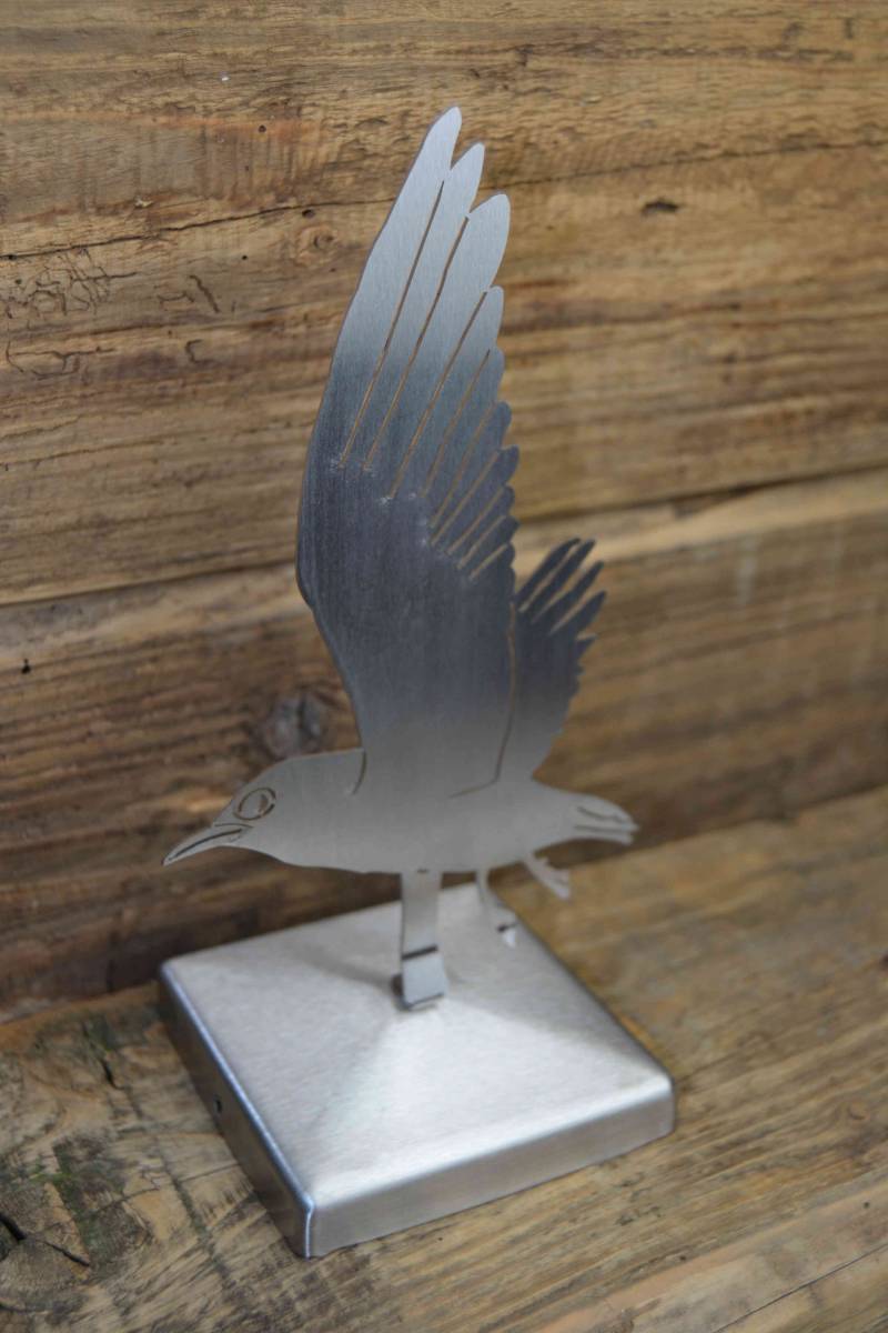 Möwe "Afonso" mit Zierkappe Möwe "Afonso" mit Zierkappe von Wupperkotten