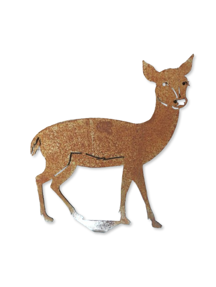 Reh ohne Zierkappe Reh ohne Zierkappe von Wupperkotten