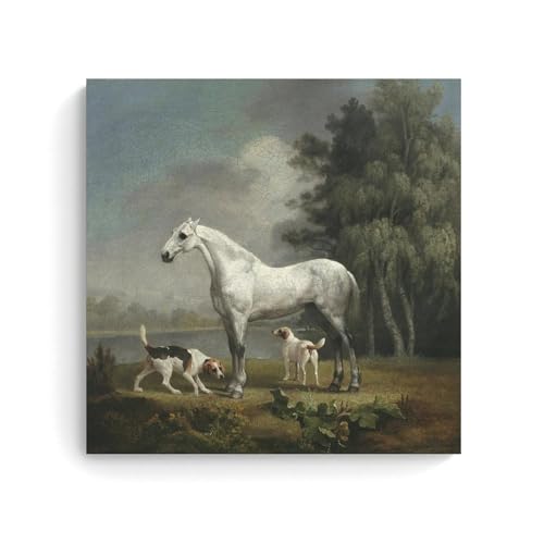 George Stubbs Malerwerke, ein graues Pferd, gedruckte Poster, Geschenke, Leinwandbild, Wandkunst, dekoratives Bild, Drucke, moderne Dekoration, 40 x 40 cm von WurBu