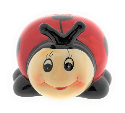 Lady Bug Children Small Lockable Piggy Bank Money Box with Lock and Key Money Box von Wurm KG