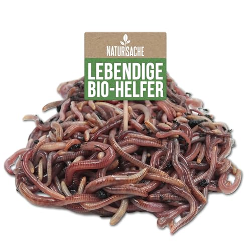 KOMPOSTWÜRMER kaufen - 1000 Stück/Sack - Kompoststarter Regenwurm Set - Gartenwürmer/Regenwürmer Eisenia-Mix lebend - aktive Würmer für Kompost, Komposter, Wurmkomposter, Wurmkiste und Wurmfarm von Natursache