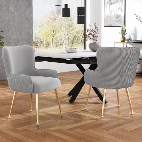 Wuudi Samt-Esszimmerstuhl, 2er-Set, luxuriös, Wohnzimmer, Schlafzimmer, Lounge-Stuhl mit Vier Goldene Metallstützbeinen, Mit Armlehnen und verstellbaren Füßen, Lendenwirbelstütze,Grau von Wuudi