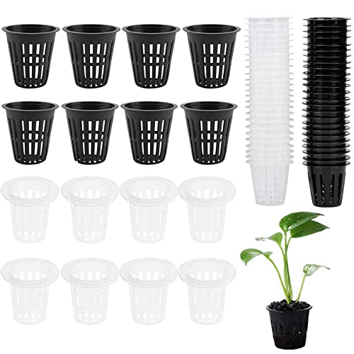 Hydroponics Pot, 60 Pcs Garten Netzbecher, Net Pot 2,36 ", Pflanzkorb Hydrokultur, Hydroponische Körbe, Plastik Hydroponics Net Pot für Hydroponics Supplies für Topfanbau, Pflanzen von Wasserpflanzen von Wuuooei