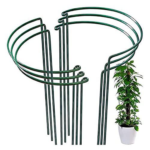 Pflanzenstütze Halbrund Metall, 6 Pcs Strauchhalter Garten, Strauchstütze Halbrund, Blumenstütze Rankhilfe, Pflanzenhalter Hortensien, Gartenrandstützen für Tomaten Rosen Blumenrebe Hortensien Ranken von Wuuooei