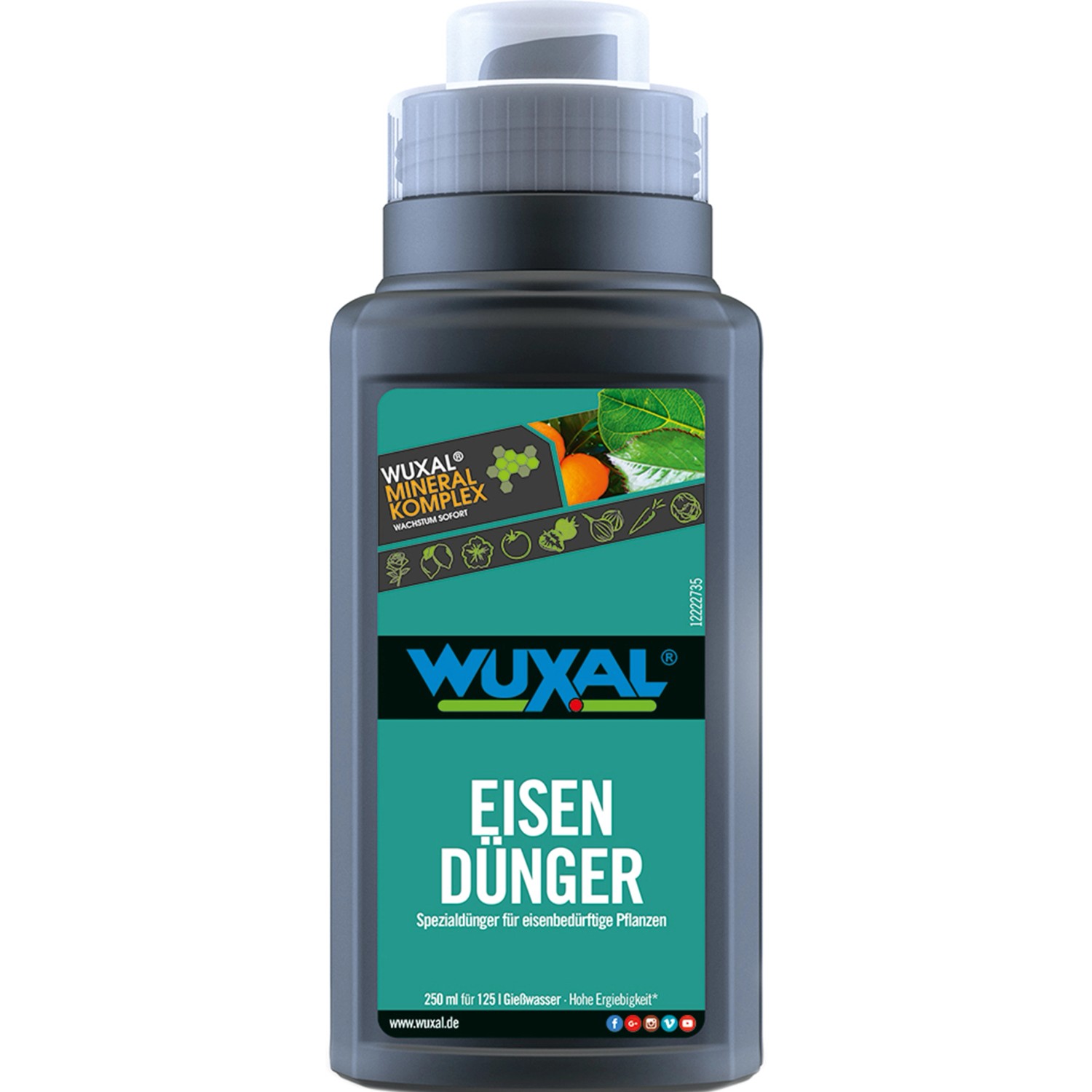 Wuxal Eisendünger 250 ml von Wuxal