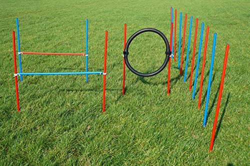 Wuzzmann Agility-ÜBUNGS-ANFÄNGER-Set BLAU/ROT SPRUNGRING/Slalom/HÜRDEN Wuzzmann Agility-ÜBUNGS-ANFÄNGER-Set BLAU/ROT SPRUNGRING/Slalom/HÜRDEN von Wuzzmann