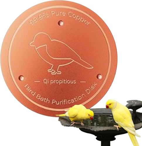 Vogeltränken Reiniger Kupferplatte - 14 Tage klares Wasser, 99,99% Reinkupfer - sichere Wasserreinigung,für Vogelbad & Brunnen (1 Stück) von Wvu & Wvo