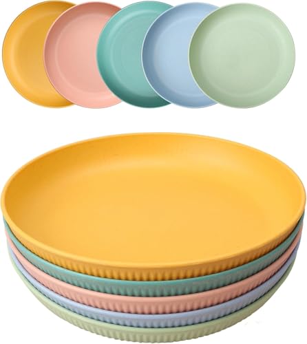 Wvu & Wvo 5 Stück Wiederverwendbar Camping Teller, 23cm Großer Kompakter Hartplastik Teller​Tiefe Speiseteller Unzerbrechlich Picknickteller Set Mikrowelle Spülmaschinenfest für Party Zuhause Reise von Wvu & Wvo