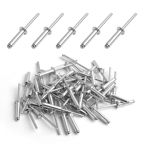 50 Stück Aluminium-Blindnieten mit großem Flansch,Blindnieten Se, Pop-Nieten mit offenem Ende, Aluminium Blindnieten, für Bau, Automobilindustrie und Möbelmontage (Argenté, 4.8mm x 20mm) von Wvxilyr
