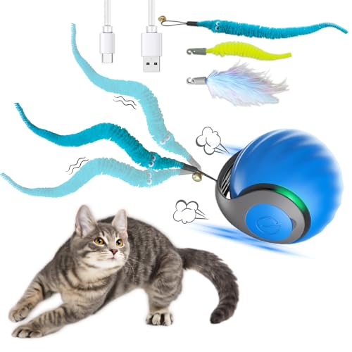 Interaktives Katzenspielzeug Katzenball, Katzenspielzeug Selbstbeschäftigung, Katzenspielzeug Elektrisch mit USB,Zwei Arbeitsmodi,Katzen Spielzeug mit 3 Ersatzschwanz, Intelligenzspielzeug für Katzen Interaktives Katzenspielzeug Katzenball, Katzenspielzeug Selbstbeschäftigung, Katzenspielzeug Elektrisch mit USB,Zwei Arbeitsmodi,Katzen Spielzeug mit 3 Ersatzschwanz, Intelligenzspielzeug für Katzen von WwuHua