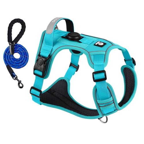 Keine Pull Hundegeschirr Front Reflektierende Pet Weste für Hunde mit Einfache Kontrolle Griff und Rückseite perfekt,Hundegeschirr mit airtag-Positionierungshülse für Klein Mittelgroße Grosse Hund Keine Pull Hundegeschirr Front Reflektierende Pet Weste für Hunde mit Einfache Kontrolle Griff und Rückseite perfekt,Hundegeschirr mit airtag-Positionierungshülse für Klein Mittelgroße Grosse Hund von WwuHua