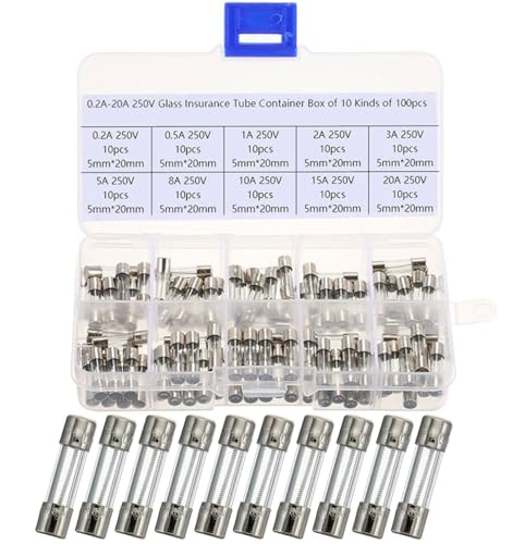 100 StückFeinsicherungen Flink,5x20mm 250V Feinsicherung Sortiment Glassicherung, Glasrohrsicherung, Glas Sicherungen(0.5A 1A 2A 3A 5A 6A 8A 10A 15A 20A) von Wxinsheng