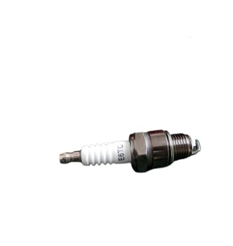 QoeLiue 10 Zündkerzen kompatibel mit E6TC EY20 AX100 V50 V80 CY80 DX100 und weiteren Motoren von WyGdVE