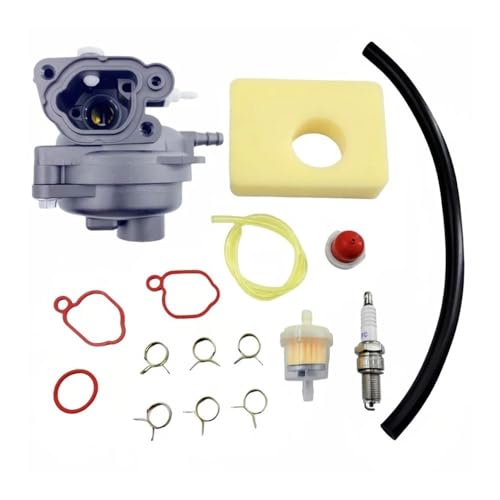 Vergaser PASST for 799583 591160 595656 591979 593261 08P502 09P602 9P602 09P602-0019-F1 125cc Rasenmäher Motor(1 Set) von WyGdVE