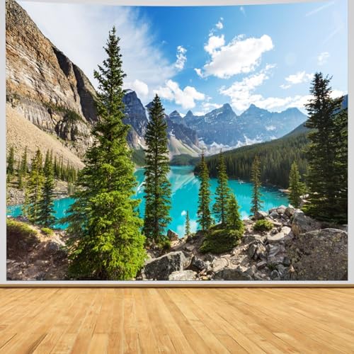 Wandbehang Berge, Wandteppich Natur Landschaft See Wandtuch XXL Wandtuch Wald Himmel Wolken Stoff Waschbar Frühlingslandschaft Tapisserie 350x256cm von Wycian