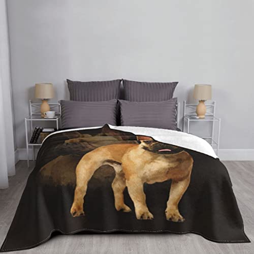 Französische Bulldogge Französische Hundedecke Wolle Dekoration Nettes Tier Weiche Decke Bettwäsche Schlafzimmer Plüschdecke-200x150CM von Wyhaoyun
