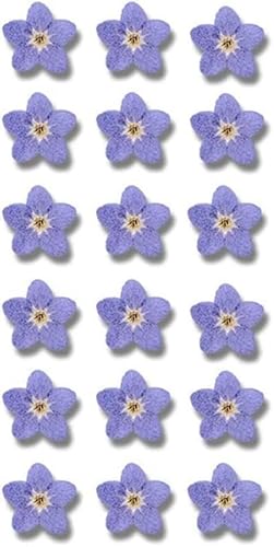Blaue Vergissmeinnicht Blumen für Myosostis Sylvatica getrocknete gepresste Blumen für Harz, Seifenherstellung, Scrapbooking, Kerzen, Epoxidharz, DIY-Kunsthandwerk, 20 Stück Blaue Vergissmeinnicht Blumen für Myosostis Sylvatica getrocknete gepresste Blumen für Harz, Seifenherstellung, Scrapbooking, Kerzen, Epoxidharz, DIY-Kunsthandwerk, 20 Stück von Wyjuan