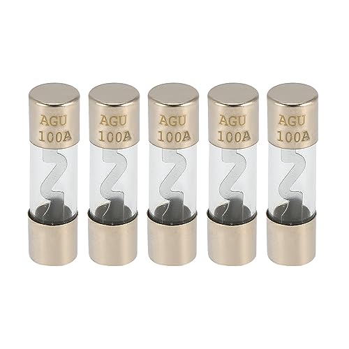 X AUTOHAUX 5 Stück Auto Sicherung Glasrohrsicherung Inline Stromsicherung 100A AGU von X AUTOHAUX