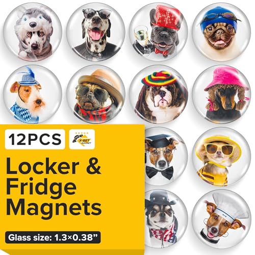 X-bet MAGNET Dekorative Glasmagnete für Kühlschrank, Büro, Küche, Sukkulenten, Whiteboard, Schließfächer X-bet MAGNET Dekorative Glasmagnete für Kühlschrank, Büro, Küche, Sukkulenten, Whiteboard, Schließfächer von X-BET MAGNET