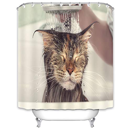 Xlabor Lustig Tier Duschvorhang 240x200 Wasserdicht Anti-Schimmel Stoff mit 12 Duschvorhangringen Waschbar Duschvorhang 180x200cm Katzen von Xlabor