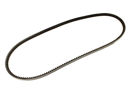 1118000500 Keilriemen Riemen 10 x 1075 Servo Pumpe Lenkung alle Benziner WBX 1118000500 Keilriemen Riemen 10 x 1075 Servo Pumpe Lenkung alle Benziner WBX von X-Parts