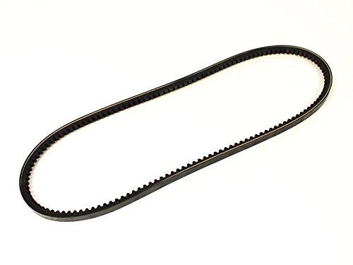 1118001600 Keilriemen Riemen 10 x 875 alle Diesel 1.6. 1.7 D Turbo TD 1118001600 Keilriemen Riemen 10 x 875 alle Diesel 1.6. 1.7 D Turbo TD von X-Parts
