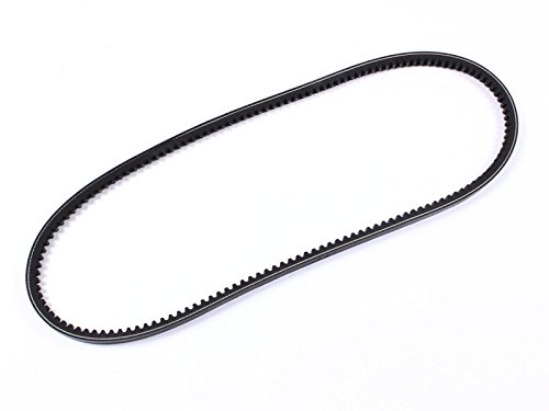 X-Parts Keilriemen 10 x 913 VW Bus T2 T3 T4 Erstausrüsterqualität 1118003000 X-Parts Keilriemen 10 x 913 VW Bus T2 T3 T4 Erstausrüsterqualität 1118003000 von X-Parts