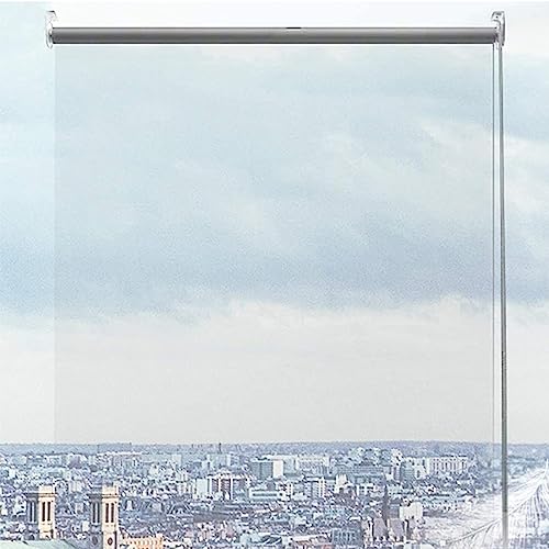 X1NGFU Transparentes Wasserdichtes Rollo,PVC Klare Reißfeste Wetterfeste Durchsichtige Rollos,Outdoor Pergola Seitenzug-Rollo,Kunststoff Regenschutz Rollos,für Außen,Breite X Höhe (160x200cm) von X1NGFU