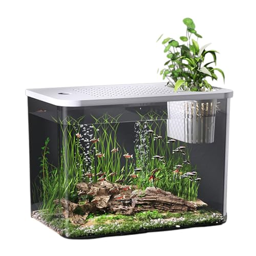 Auslaufsichere Goldfischbehälter, modernes Design, ökologische Aquarien für Fische und dekorative Wasserpflanzen, Aquarien mit Deckel Auslaufsichere Goldfischbehälter, modernes Design, ökologische Aquarien für Fische und dekorative Wasserpflanzen, Aquarien mit Deckel von XAGMODSHN