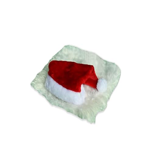 Weihnachtsmütze mit Bart für Hunde, Löwen-Perücke, bequem, Partyhut Weihnachtsmütze mit Bart für Hunde, Löwen-Perücke, bequem, Partyhut von XAGMODSHN