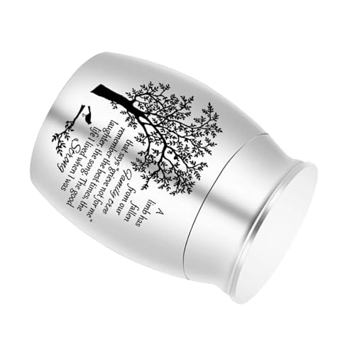 XAGMODSHN Einfache Asche, Urne, Gedenkschmuck, Einäscherungsbox, Metallglas, Einäscherungsschmuck, Schatulle für Asche, Haustier-Gedenkstätte von XAGMODSHN