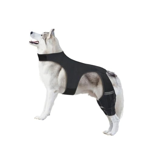 XAGMODSHN Verstellbare Kniebandage für Hinterbeine, atmungsaktiv, schützende Bandage für ältere Menschen, aktive Gelenke, Neopren, Beinbandage XAGMODSHN Verstellbare Kniebandage für Hinterbeine, atmungsaktiv, schützende Bandage für ältere Menschen, aktive Gelenke, Neopren, Beinbandage von XAGMODSHN