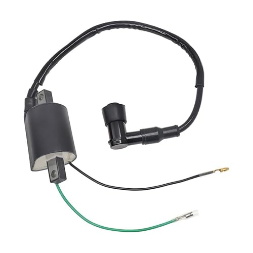 XARONF Zündspule for Ho-nda CB125S CL125S SL125 CB100 CL100 SL100 XL100 Ersatz 30400-107-007 von XARONF