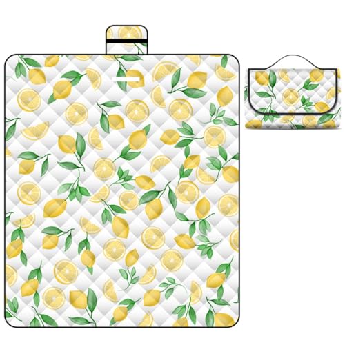 XAUCY Wasserdichte Camping-Bodenmatte, Picknickdecke mit Tragegriff, wasserdichte Stranddecke (A,200 x 200 cm) von XAUCY