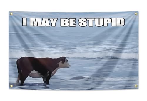 "I May Be Stupid"-Flagge, 90 x 150 cm, lustiges Poster, UV-beständig, verblasst, langlebig, Männerhöhlen-Wandflagge mit Messingösen, für Studentenwohnheim, Raumdekoration, Outdoor-Partys, Geschenk von XAXUOI