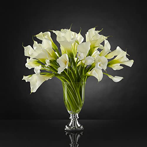 Calla Lilien Zwiebeln, Blumenzwiebel Mix, Calla Lilien Zwiebeln, Ideale Garten Pflanzen, Winterhart MehrjäHrige, Die Mehr Als 10 BlüTen Hervorbringen,-4zwiebeln-H Calla Lilien Zwiebeln, Blumenzwiebel Mix, Calla Lilien Zwiebeln, Ideale Garten Pflanzen, Winterhart MehrjäHrige, Die Mehr Als 10 BlüTen Hervorbringen,-4zwiebeln-H von XCMBNHY