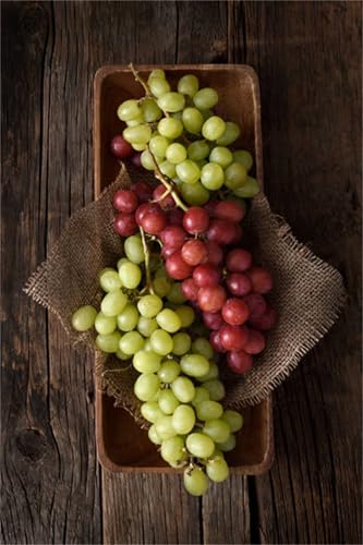 Garten Winterhart Weintraube, QualitätsRhizome, Winterharte Rhizome, Weinreben Sortiment kernlos. Weintrauben Rhizome, Kernlose Tafel-Trauben-Kollektion. -2zwiebeln-A Garten Winterhart Weintraube, QualitätsRhizome, Winterharte Rhizome, Weinreben Sortiment kernlos. Weintrauben Rhizome, Kernlose Tafel-Trauben-Kollektion. -2zwiebeln-A von XCMBNHY