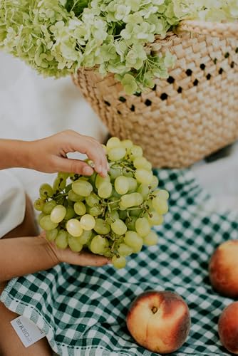 Kernlose Tafel-Trauben-Kollektion. Magic of Nature, Weintrauben Pflanzen, Weinrebe Qualitätspflanzen, Winterhart Weintraube, Weinreben Sortiment kernlos. -4zwiebeln-B von XCMBNHY
