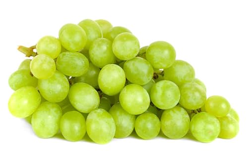 Magic of Nature, Weintrauben Pflanzen, Weinrebe Qualitätspflanzen, Winterhart Weintraube, Kernlose Tafel-Trauben-Kollektion. Weinreben Sortiment kernlos. -4zwiebeln-C von XCMBNHY
