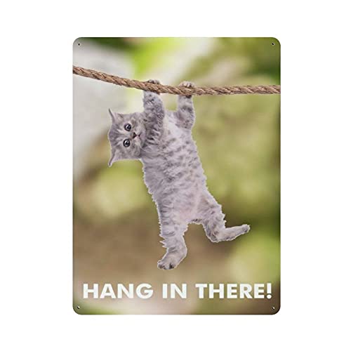 XCNGG Katze halte durch! Katze Hängende Poster Retro Wandkunstdrucke Home Bar Wanddekor Metallschild Poster 40x30cm (16x12in) von XCNGG